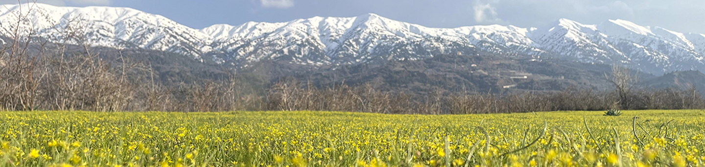 Амирсай-Чимган-Чарвак
