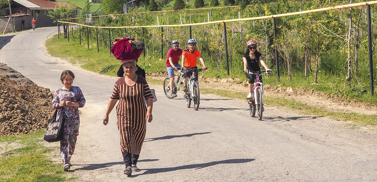 Виноградники Паркента