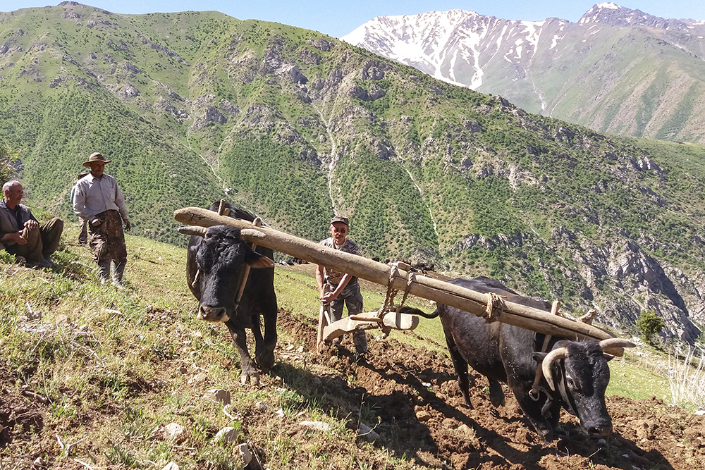 обработка земли в Гелане