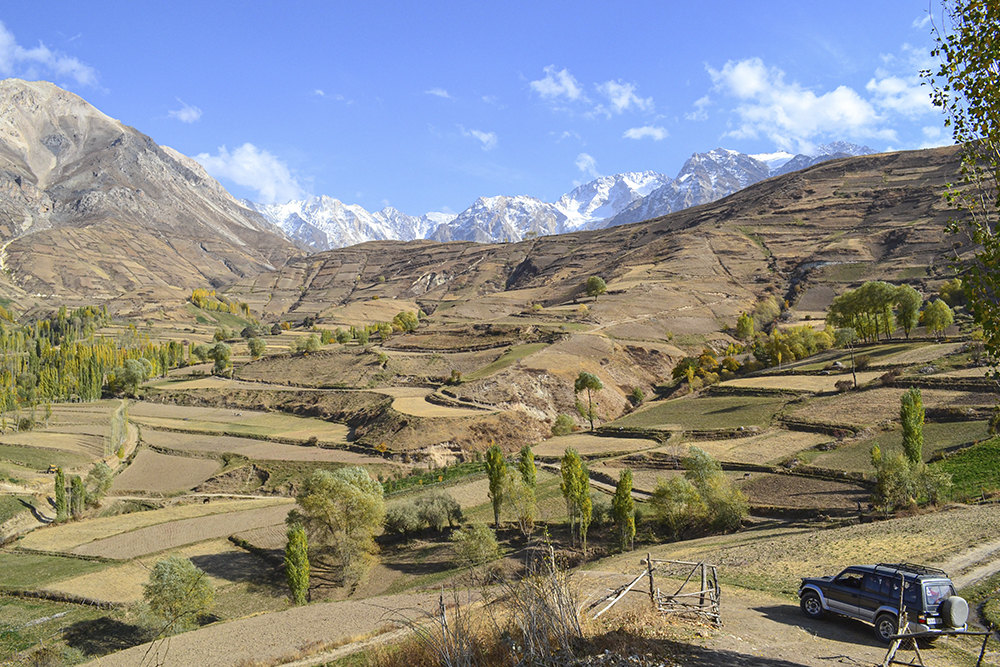 Поля Гелана