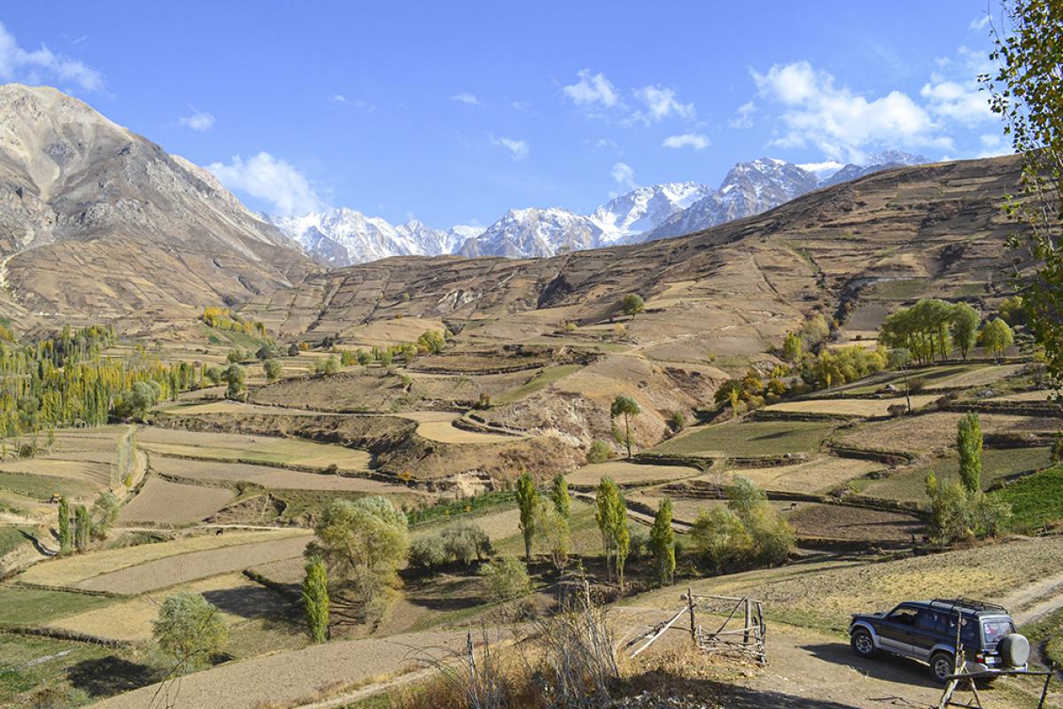 Поля Гелана