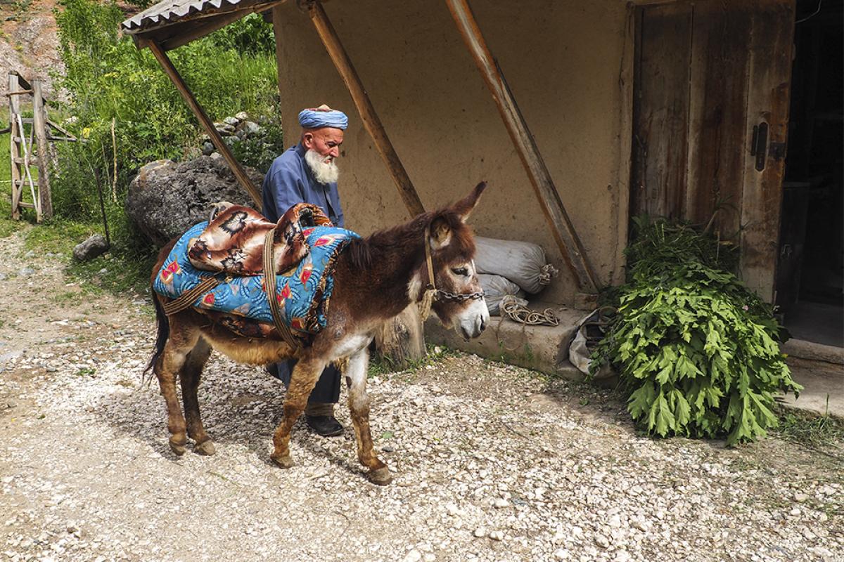 Житель Гелана